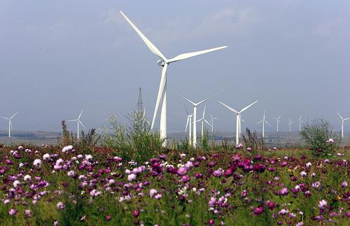 張北積極發展風電產業